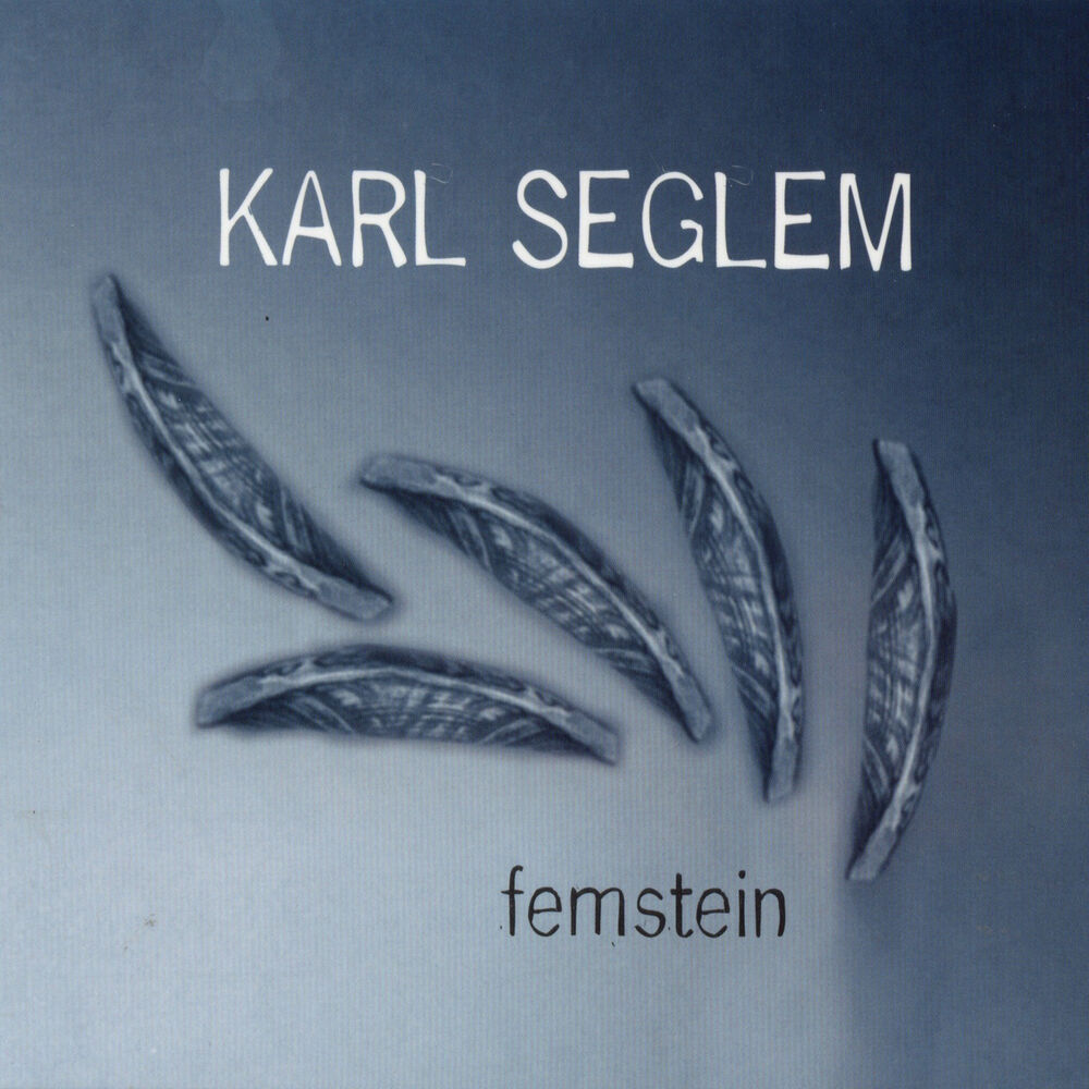 Picture of Femstein