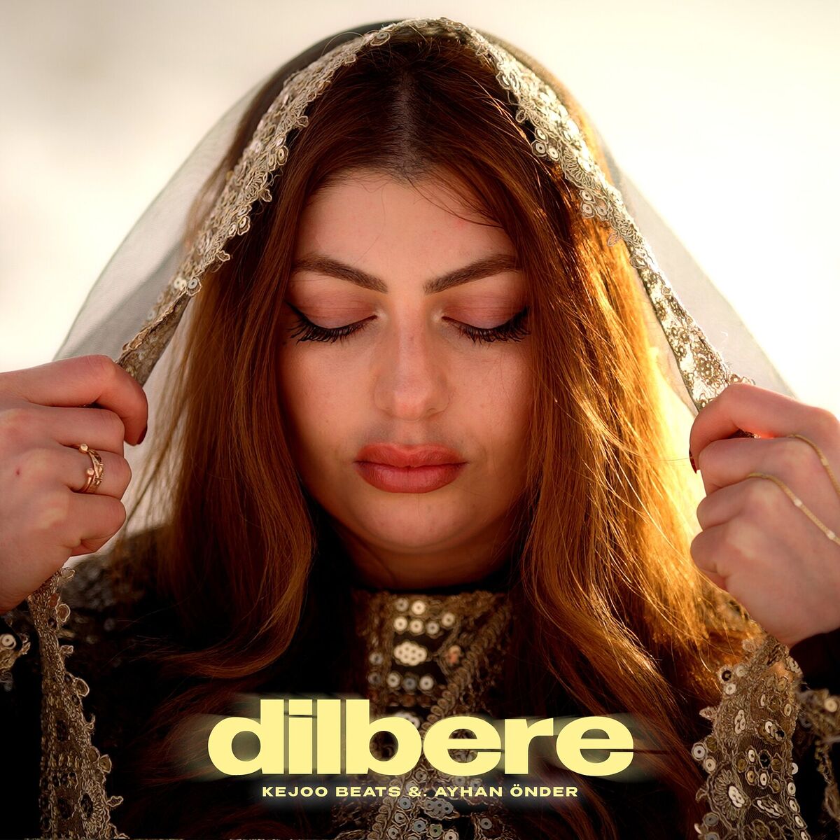 Album cover of Dilbere