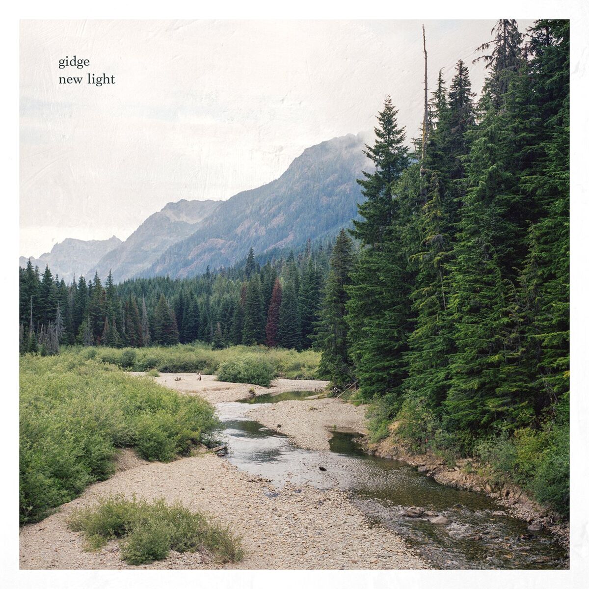 Album cover of The Cascades