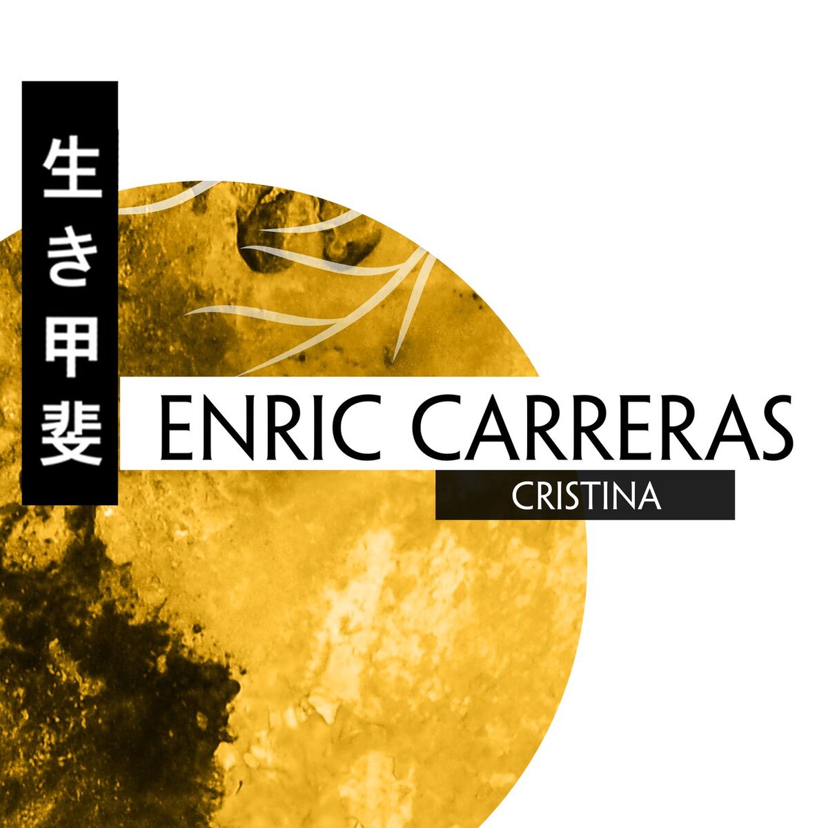 Album cover of Cristina