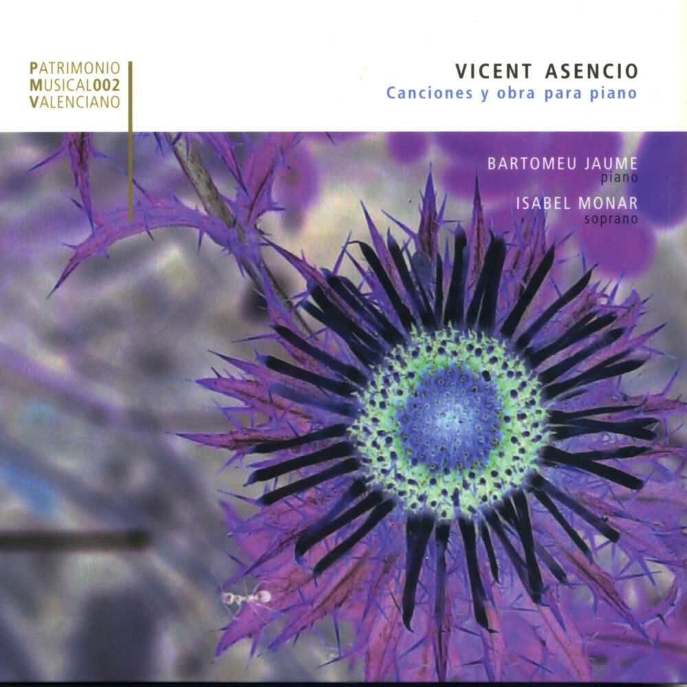 Picture of Vicent Asencio