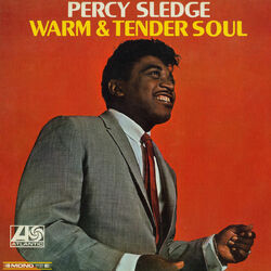 Cover of Warm & Tender Soul