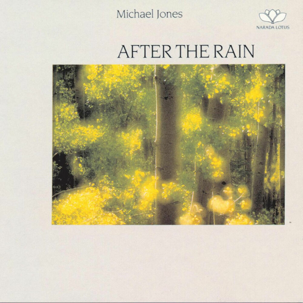 Picture of After The Rain