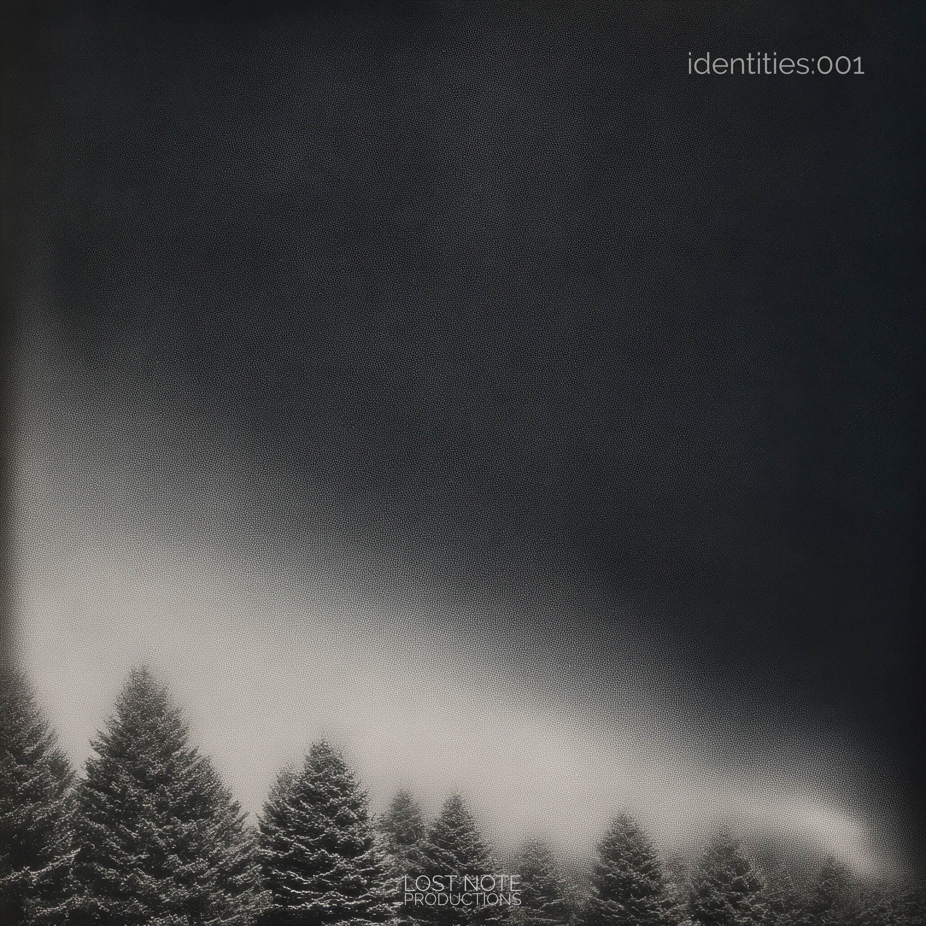 Album cover of identities:001
