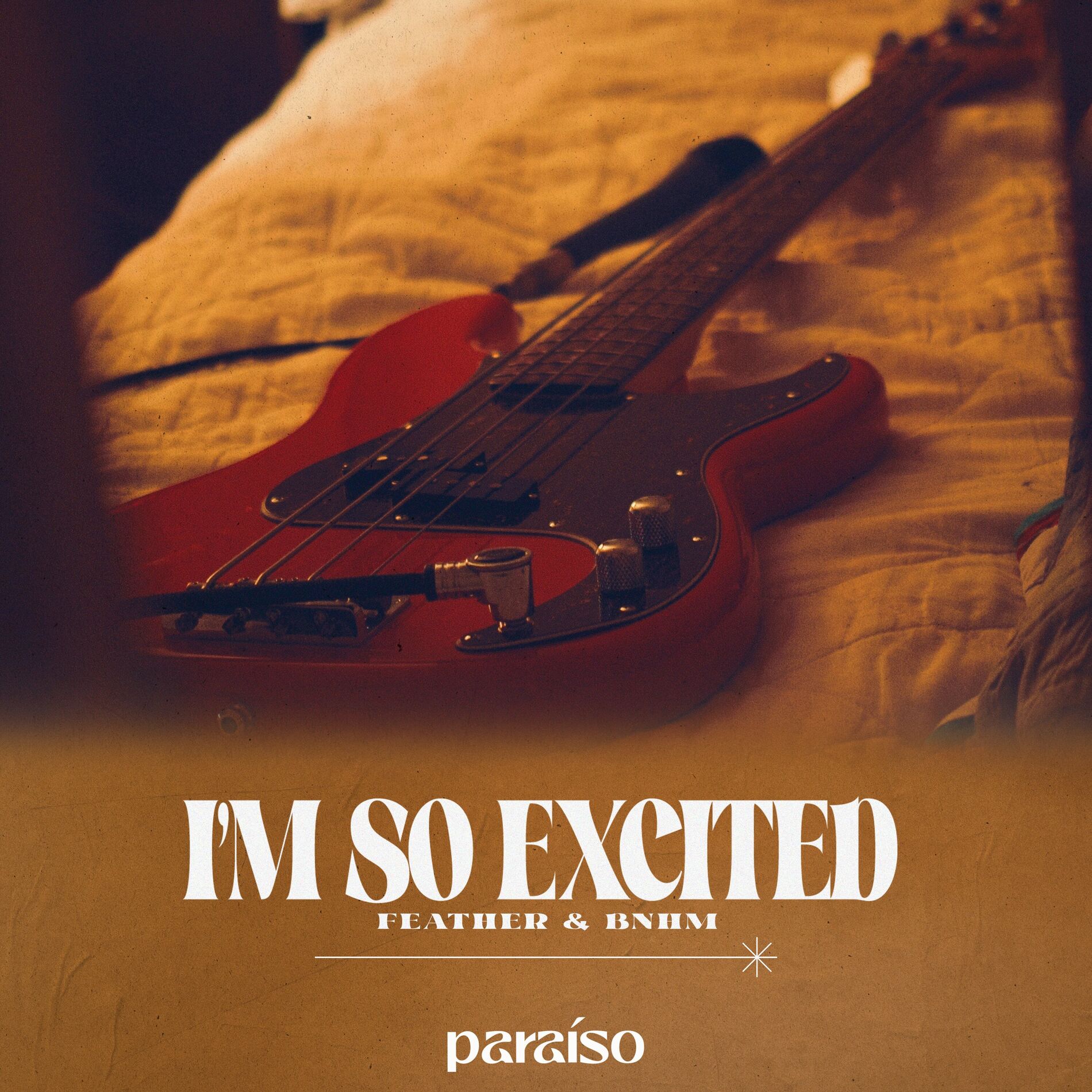 Album cover of I'm So Excited