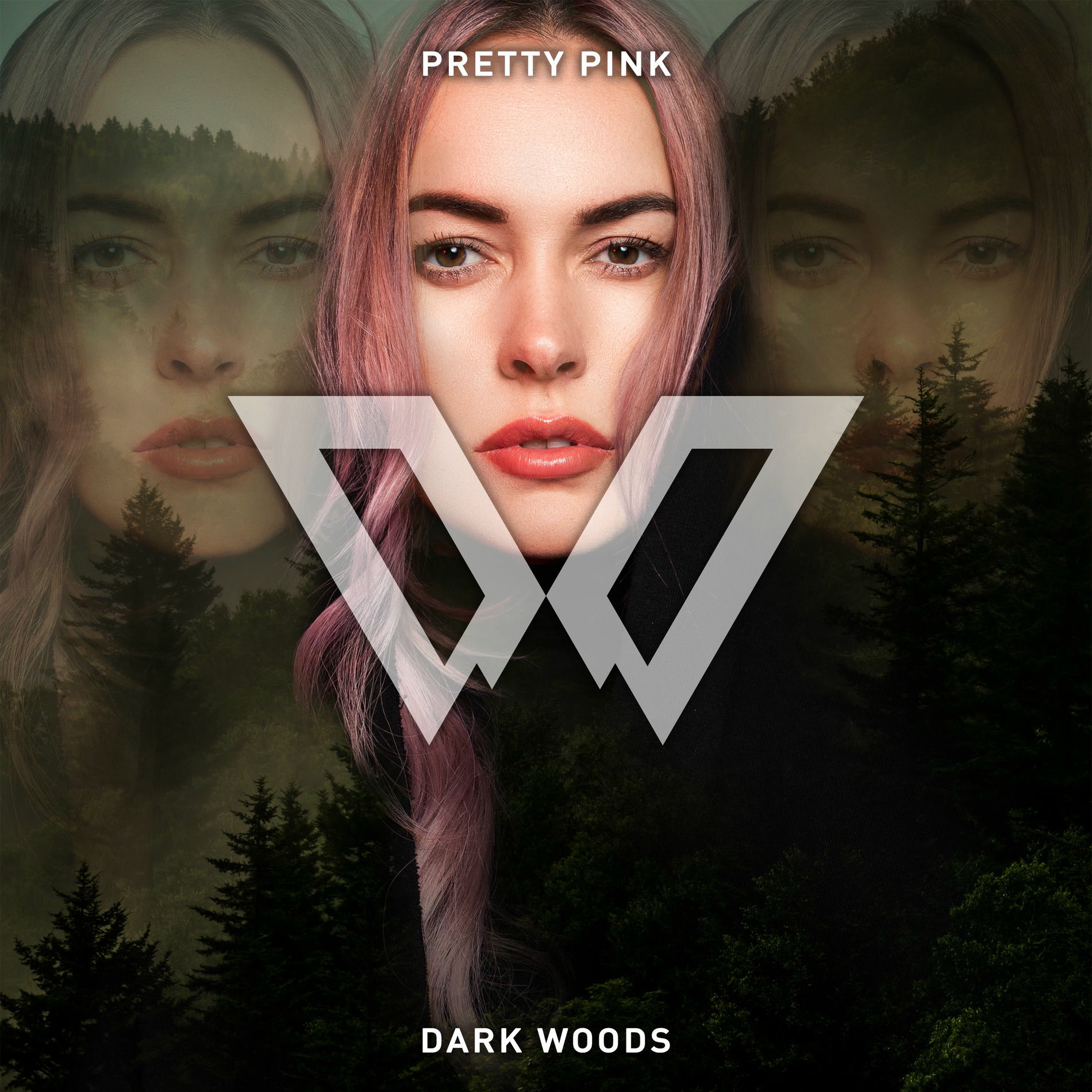 Album cover of Dark Woods