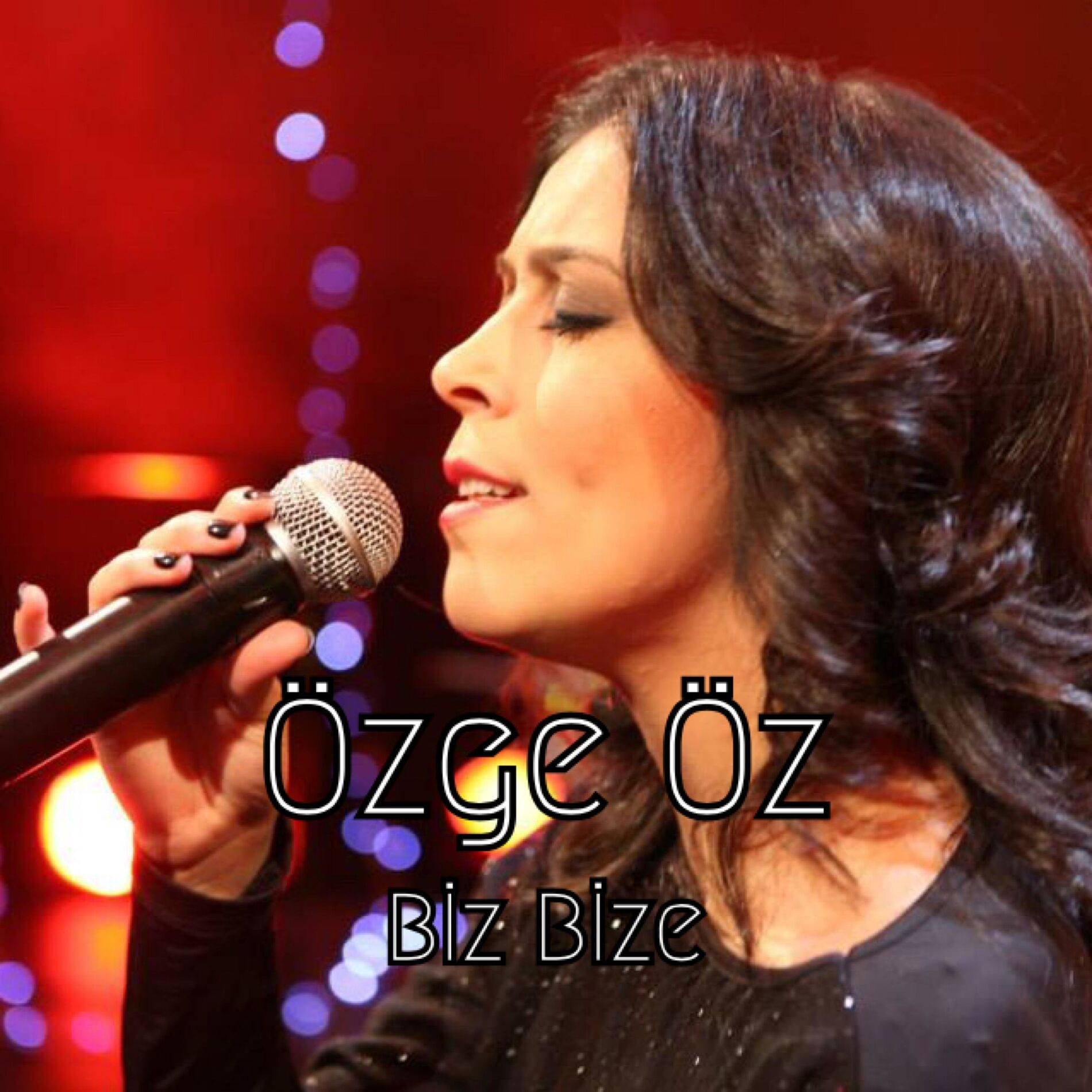 Album cover of Biz Bize (2)