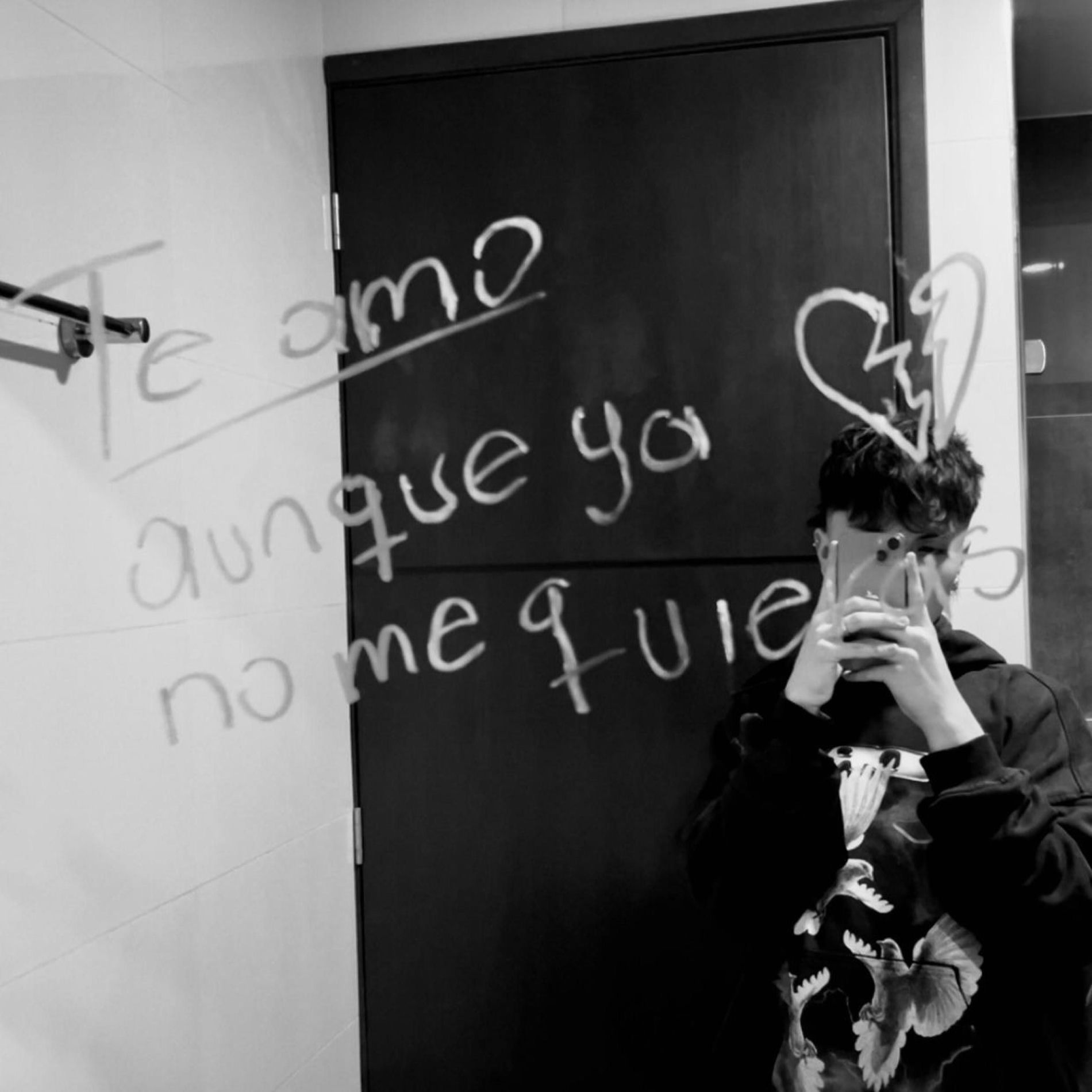 Album cover of FkLov </3