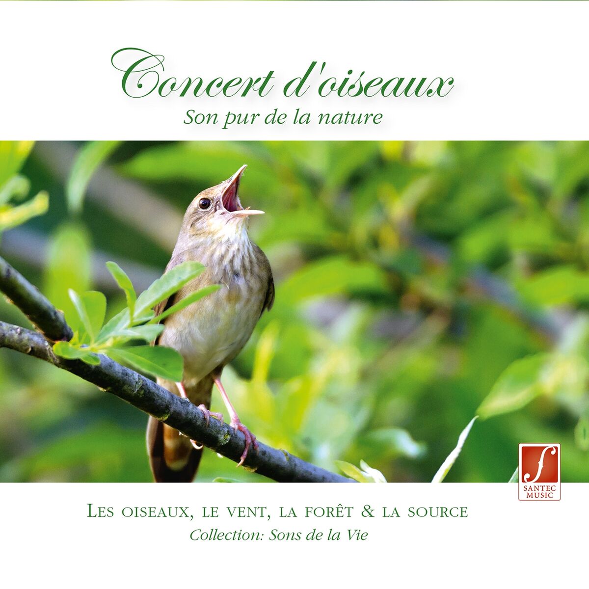 Album cover of Concert d' oiseaux - Son pur de la nature (Concert of Birds - Pure nature sounds)