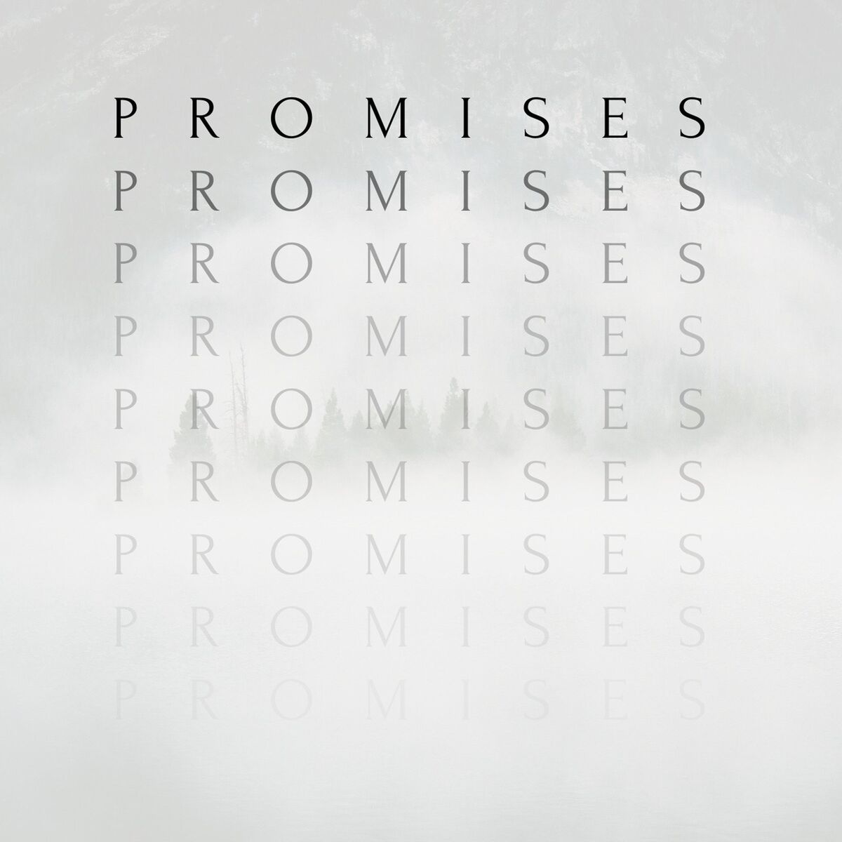 Album cover of Promises