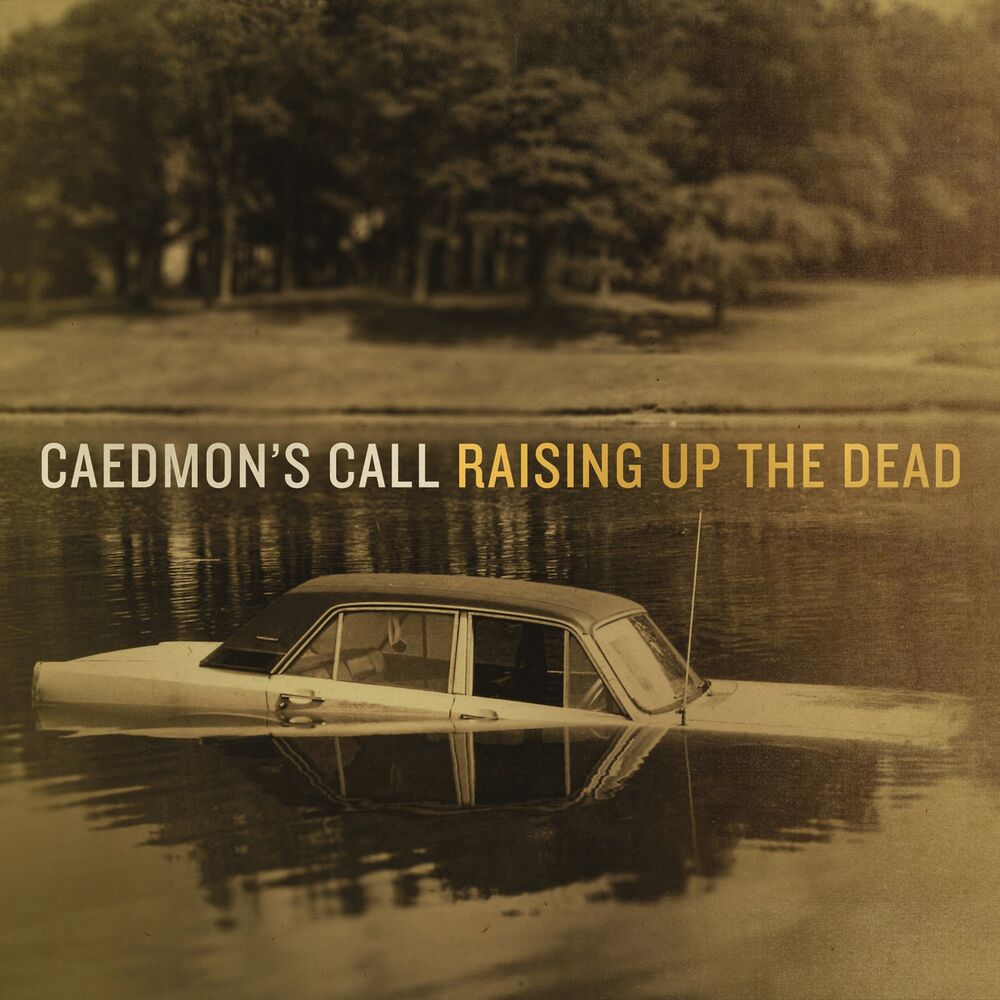 Picture of Raising Up The Dead
