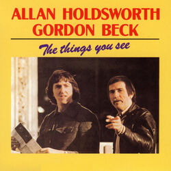 Cover of The things you see