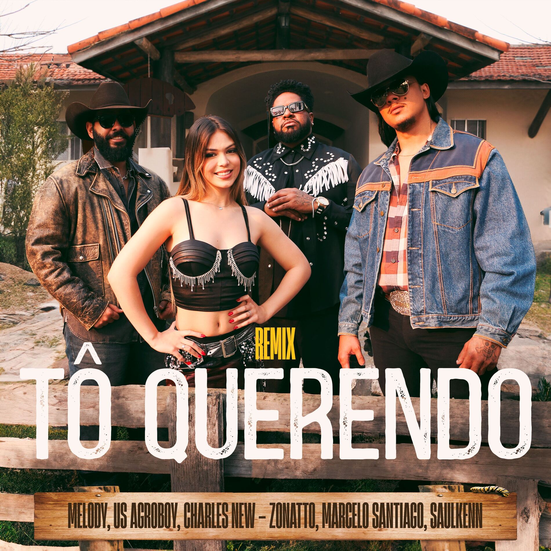 Album cover of Tô Querendo (Remix)