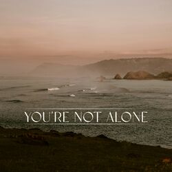 You're Not Alone (Alternate Versions)