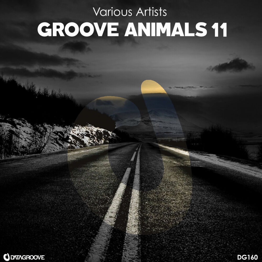 Picture of Groove Animals 11