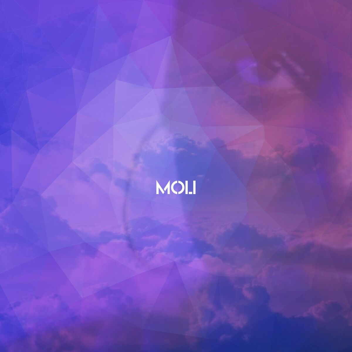 Album cover of Moli