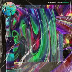Cover of Echoes of Youth