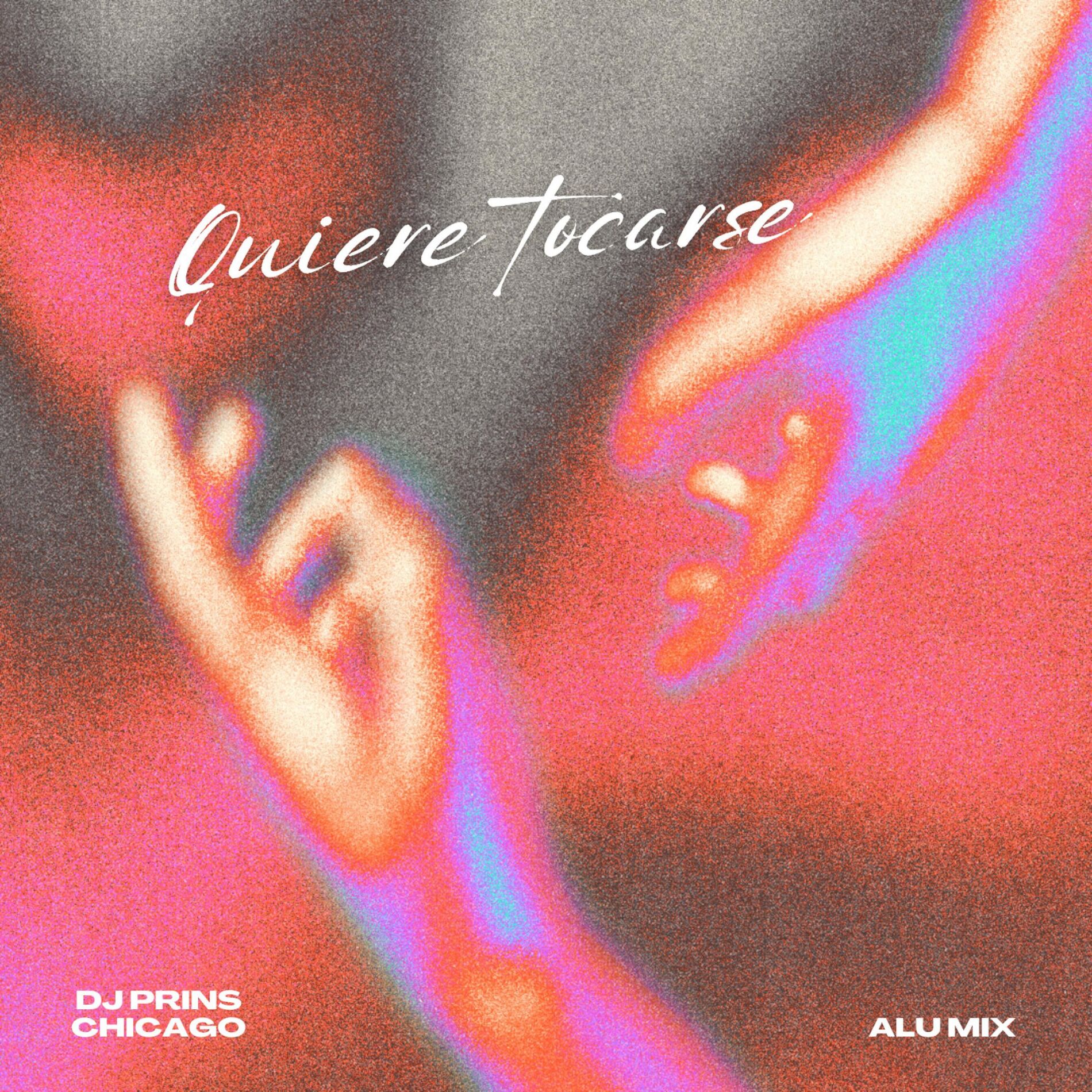 Album cover of Quiere Tocarse (feat. Alu Mix)