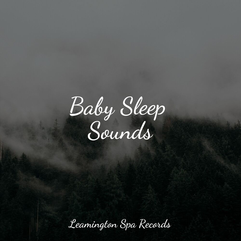 Picture of Baby Sleep Sounds
