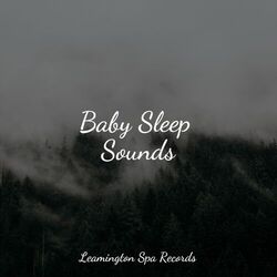 Cover of Baby Sleep Sounds