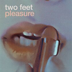 Cover of Pleasure