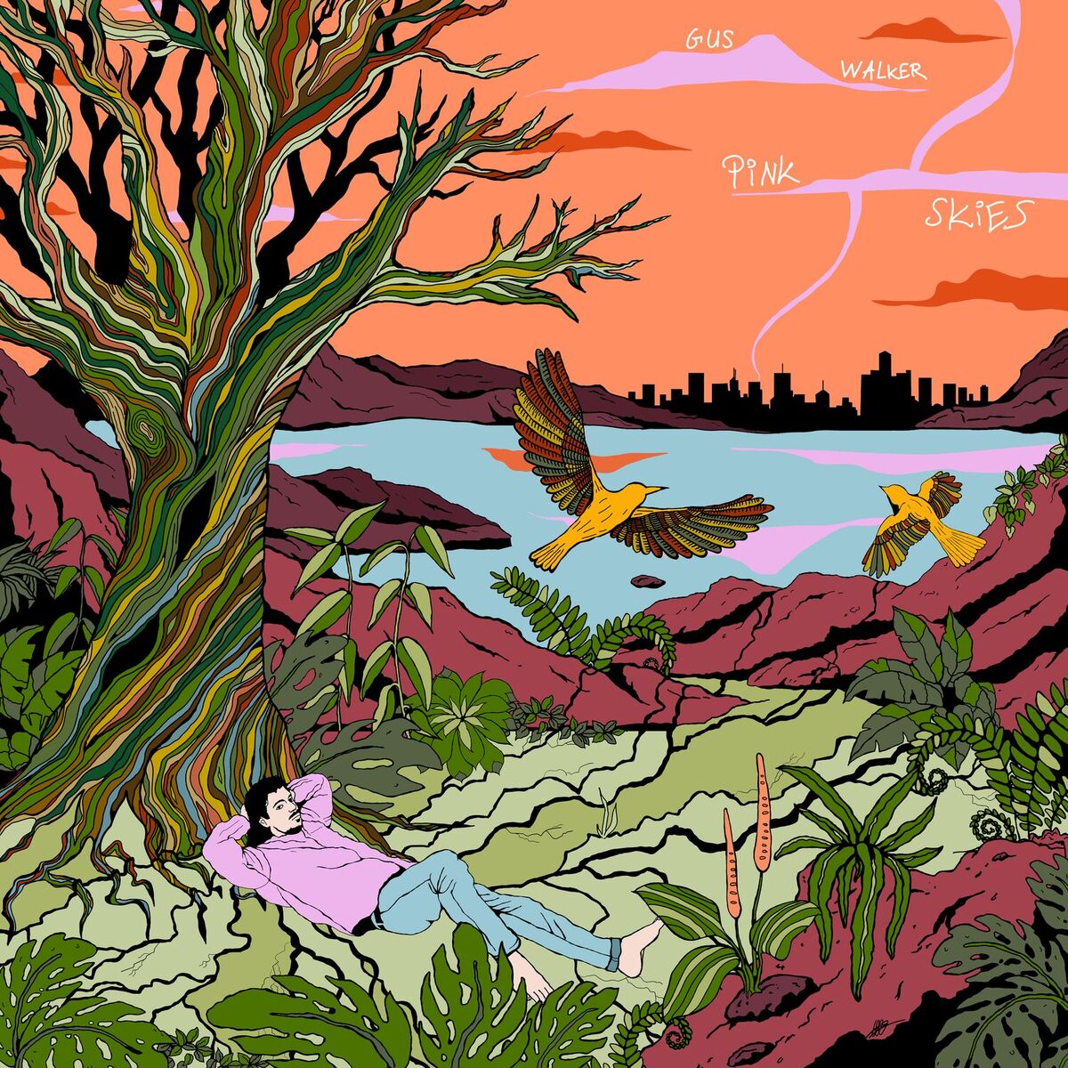 Album cover of Pink Skies