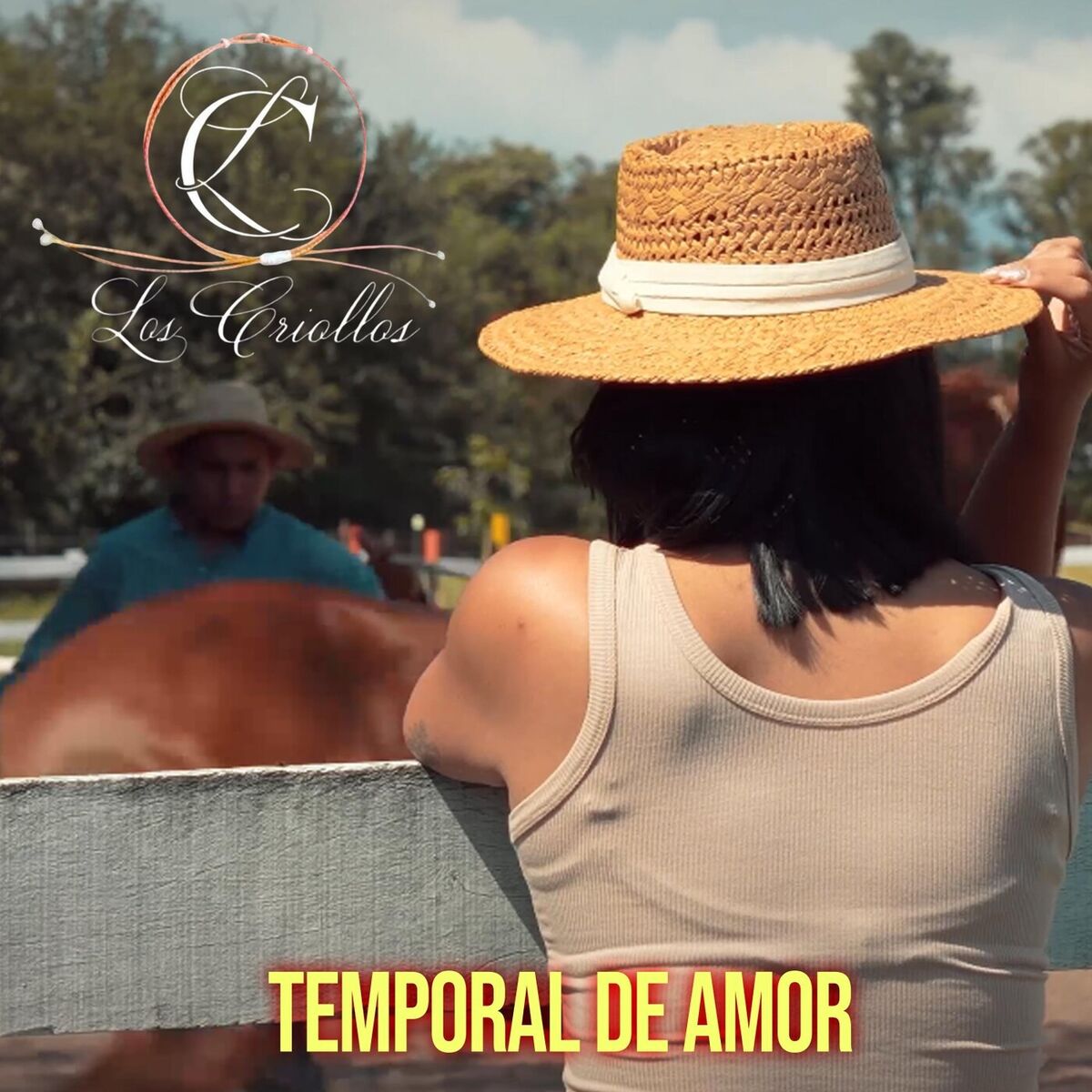 Album cover of Temporal de Amor
