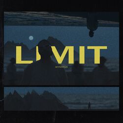 Cover of Limit