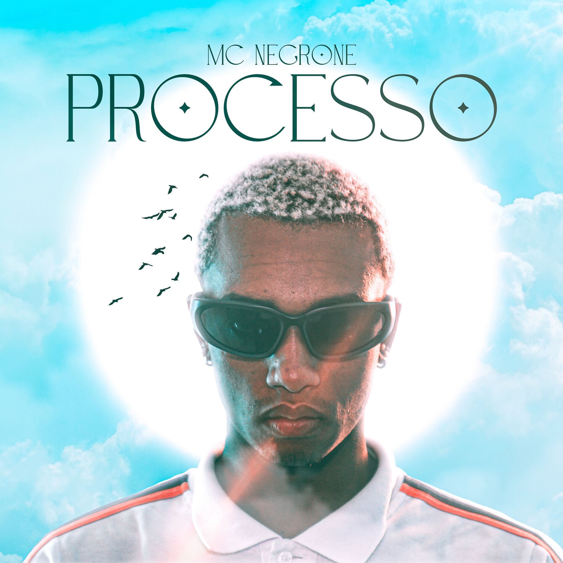 Album cover of Processo