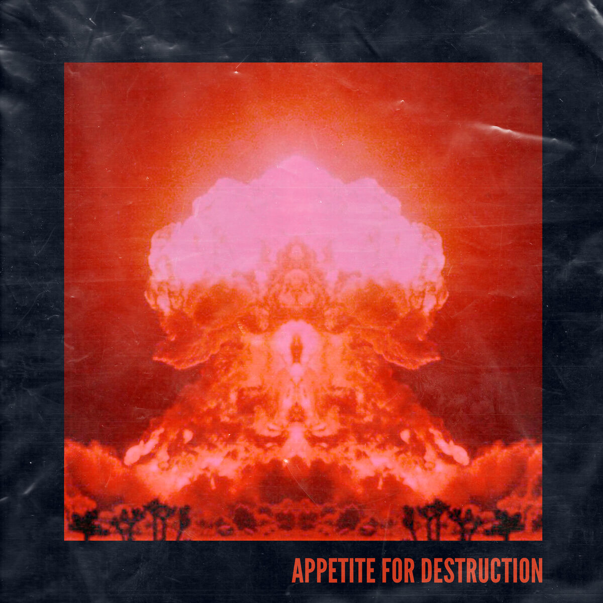 Album cover of Appetite for Destruction