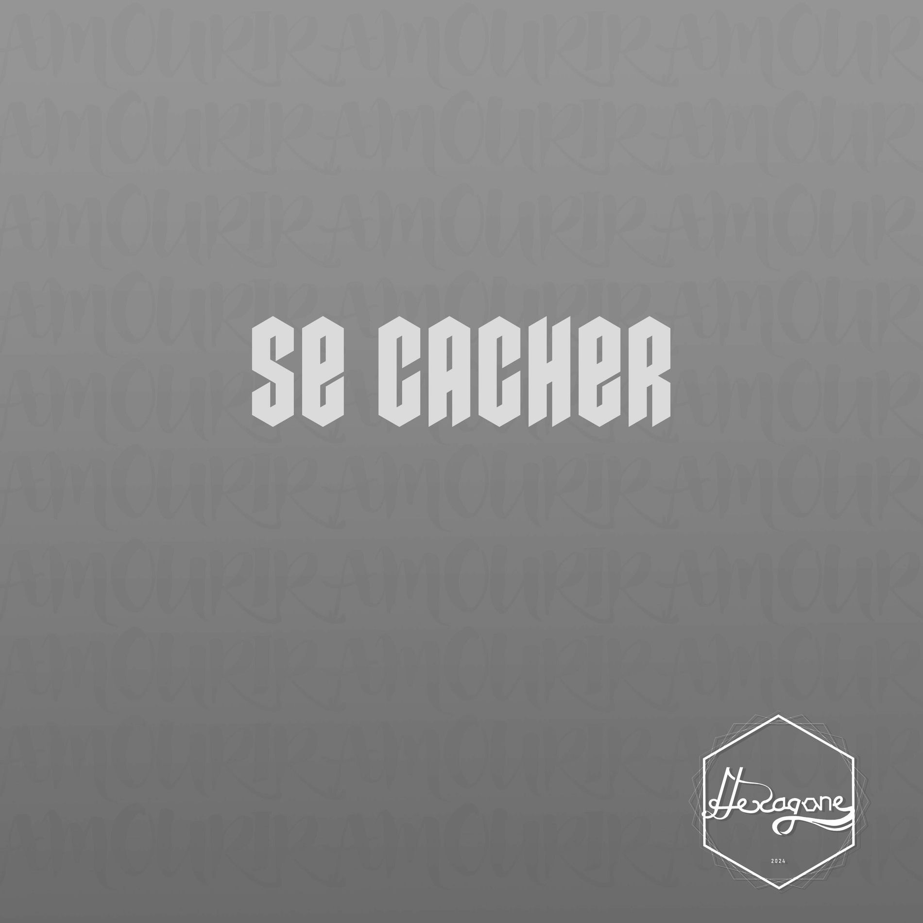 Album cover of Se cacher