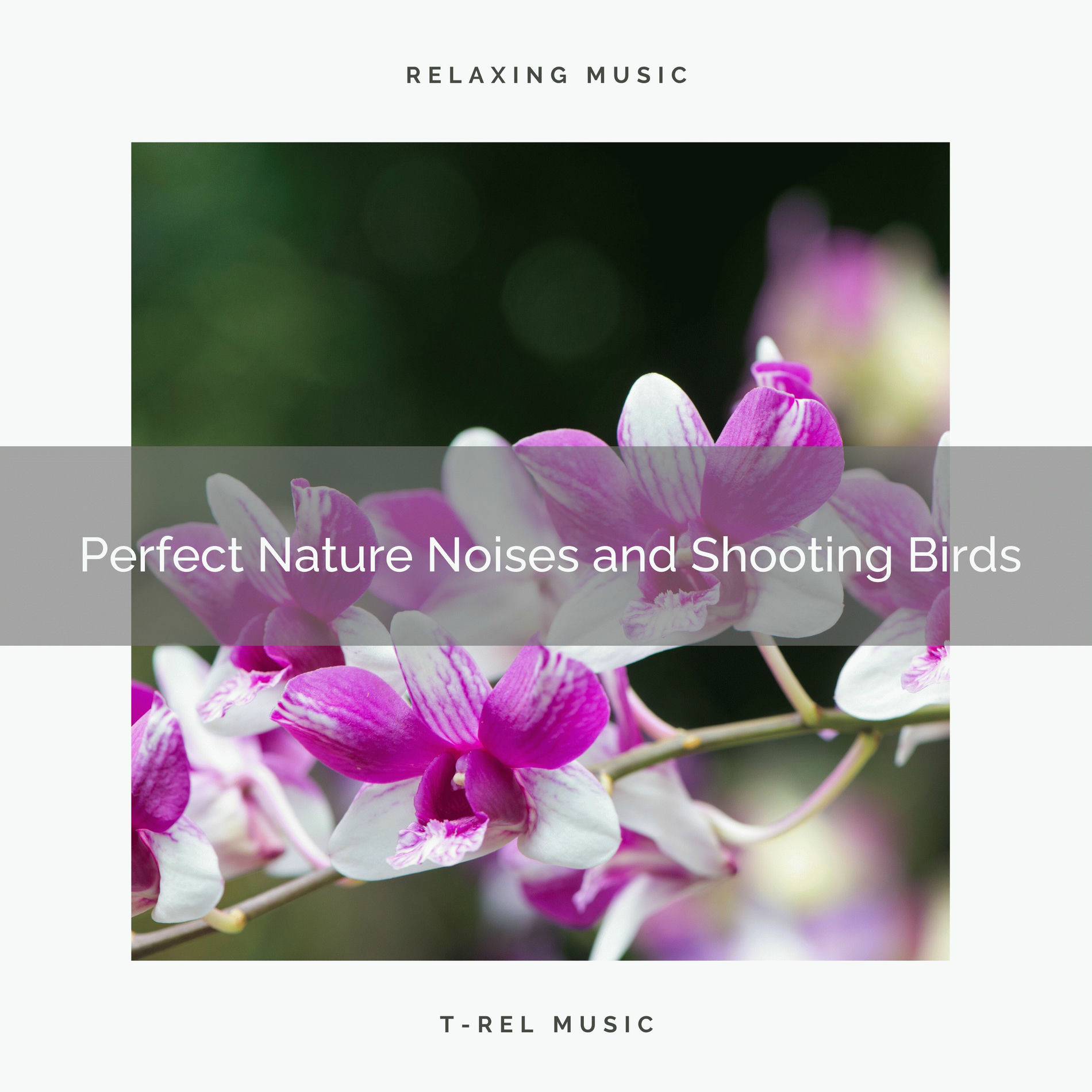 Album cover of ! ! ! ! ! ! ! ! ! ! Perfect Nature Noises and Soothing Birds