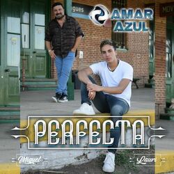Cover of Perfecta