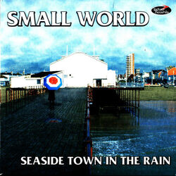 Cover of Seaside Town in the Rain