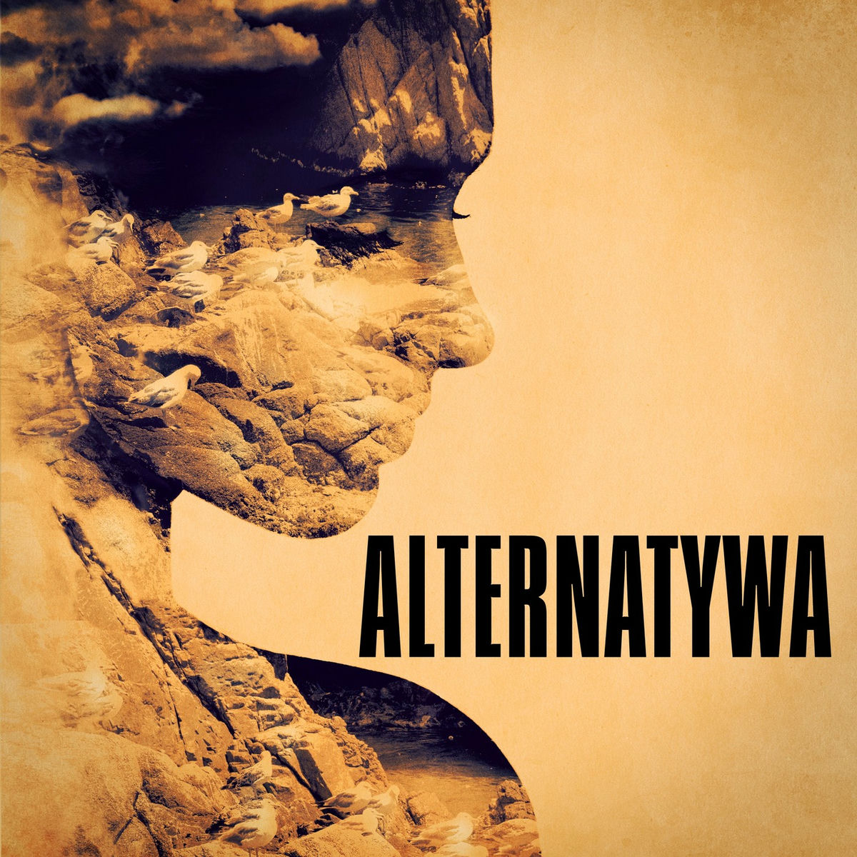 Album cover of Alternatywa
