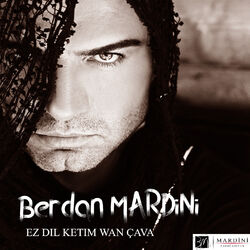 music cover