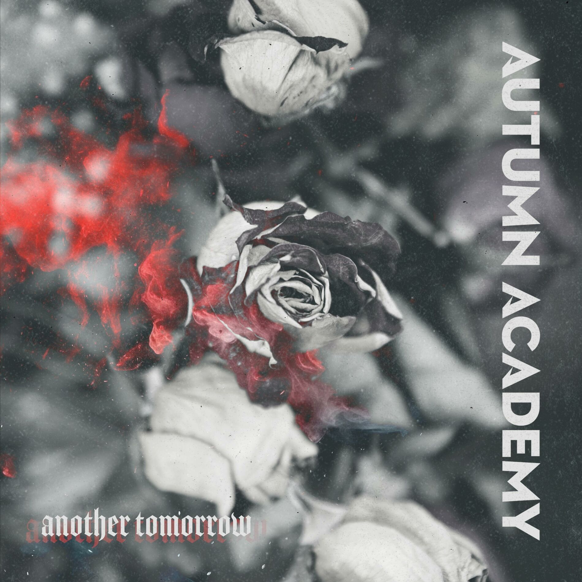 Album cover of Another Tomorrow