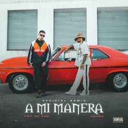 Cover of A Mi Manera (Remix)
