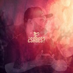 Cover of ¿Sabes?