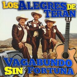 Cover of Vagabundo Sin Fortuna
