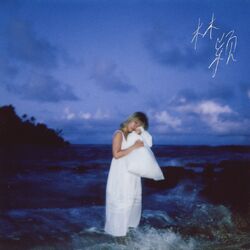 Cover of Birthdays on Video