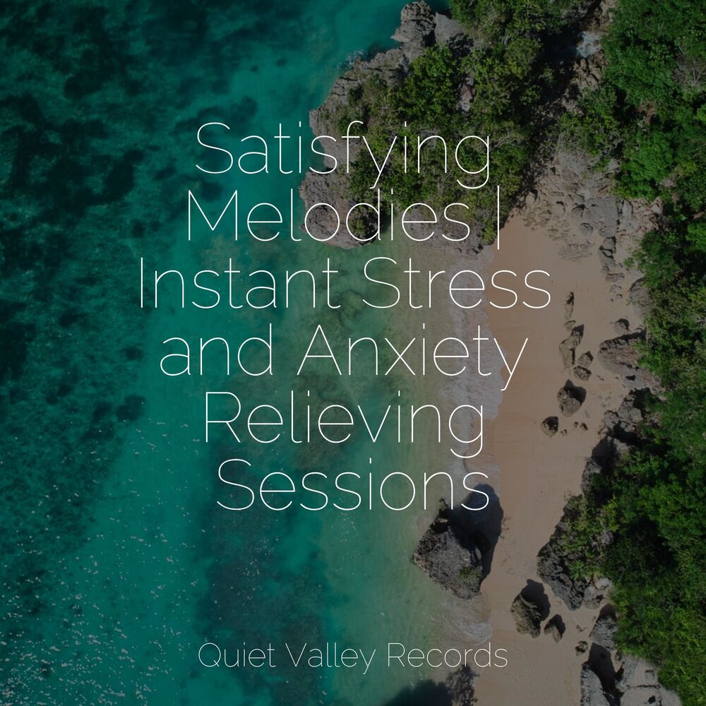 Picture of Satisfying Melodies | Instant Stress and Anxiety Relieving Sessions