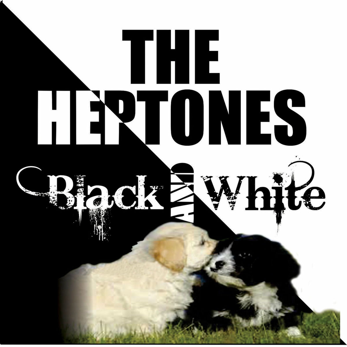 Album cover of Black & White