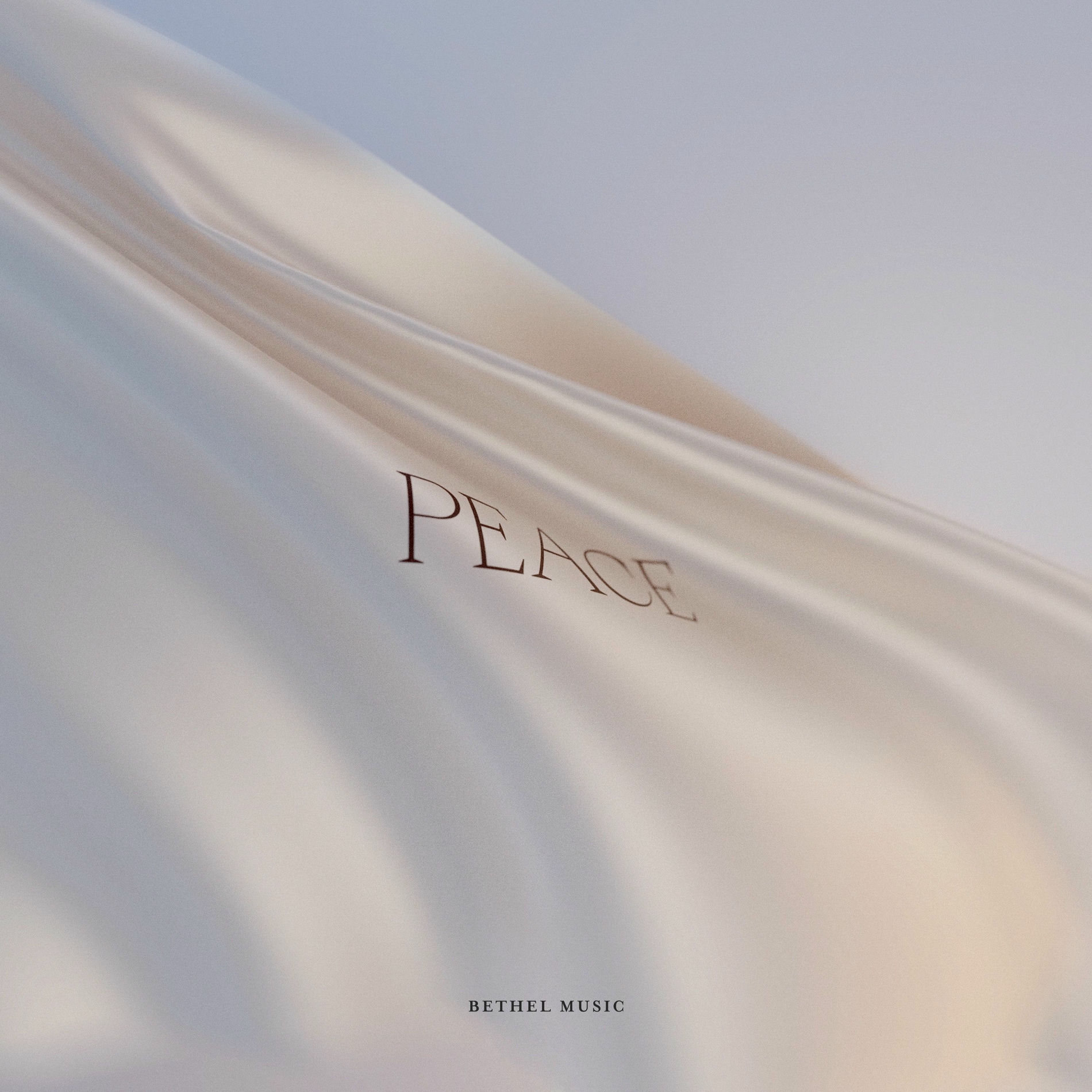 Album cover of Peace