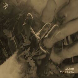 Cover of AMOR Y GRACIA (LIVE)