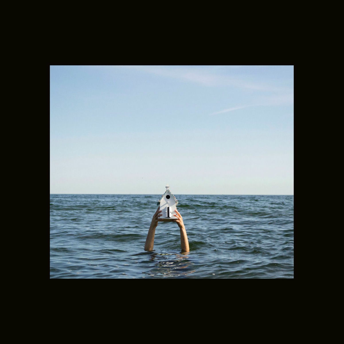 Album cover of The Last Bastion Of Fox Quality