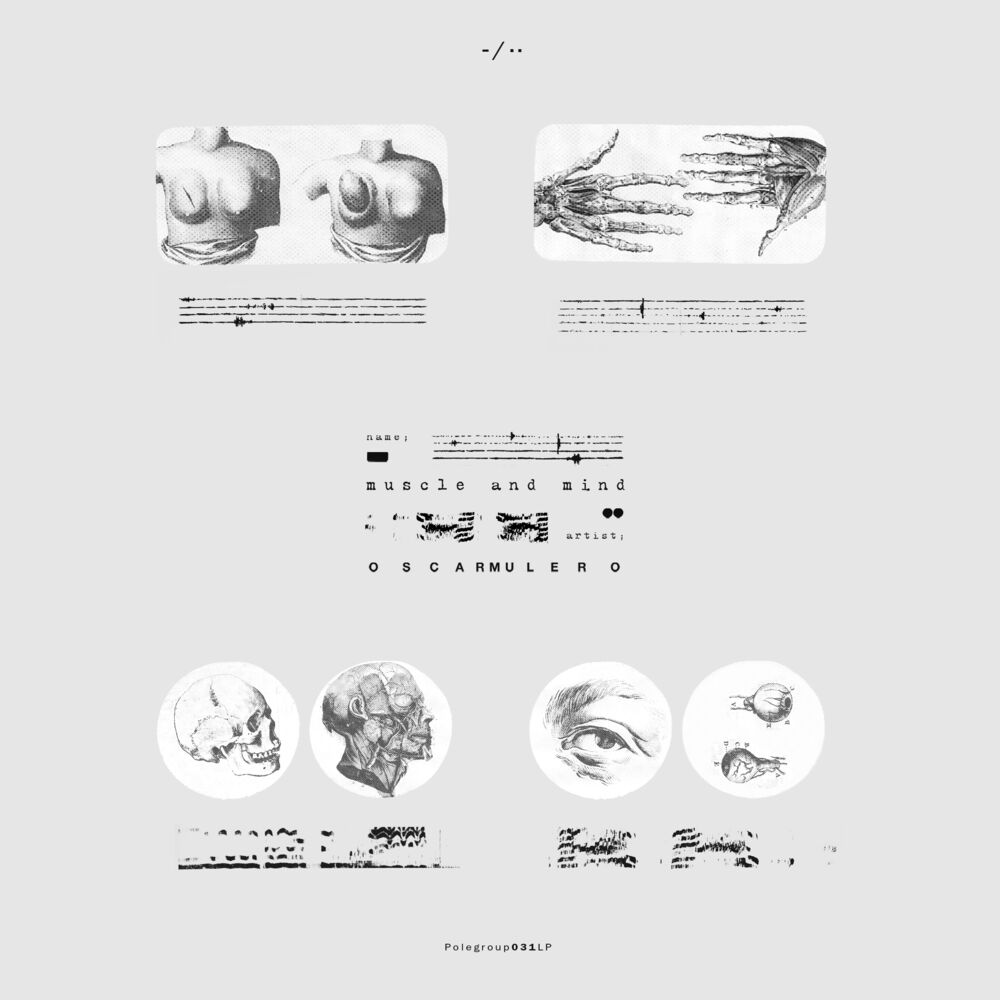 Picture of Muscle And Mind
