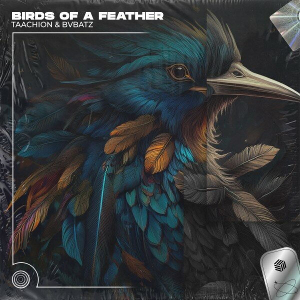 Album cover of BIRDS OF A FEATHER