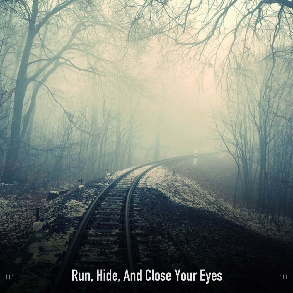 Picture of !!!!" Run, Hide, And Close Your Eyes "!!!!