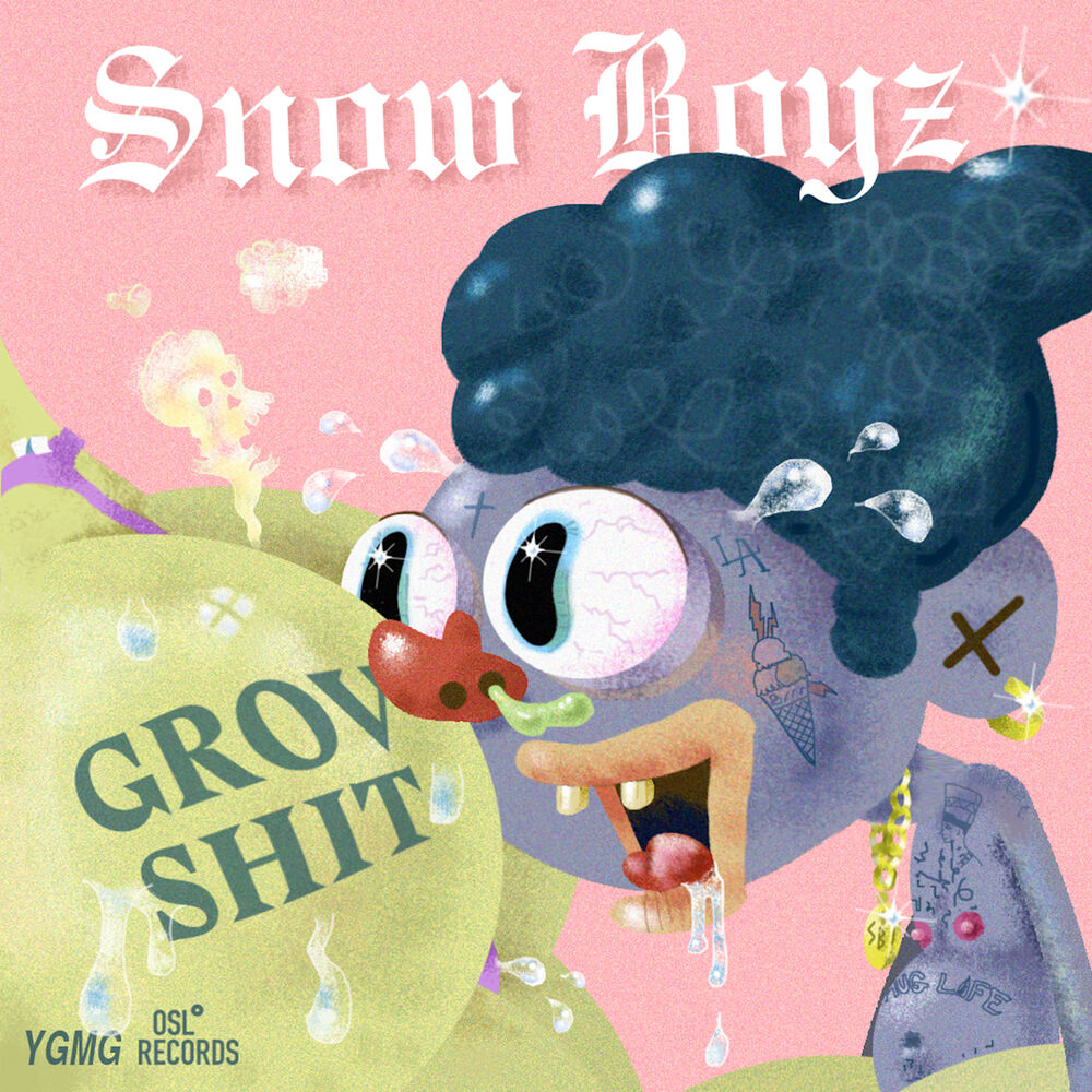 Picture of Grov shit